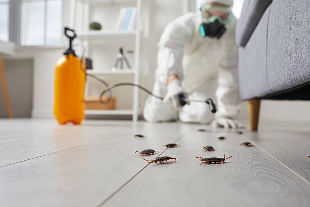 Commercial Kitchen Cockroach Control in Arnold Line